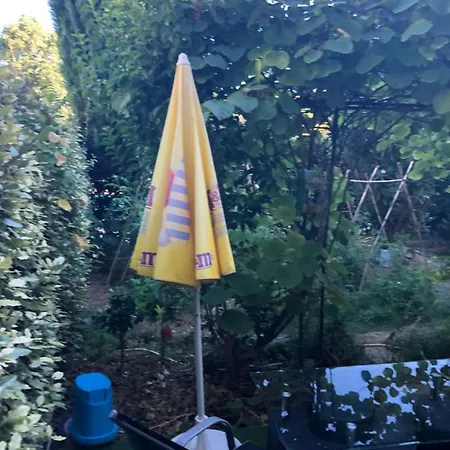 Apartment Appt Climatise Dans Avec Piscine
